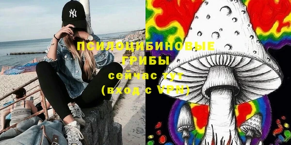 бошки Алексеевка