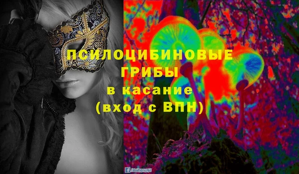 спайс Алексин