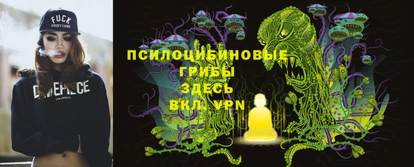 спайс Алексин