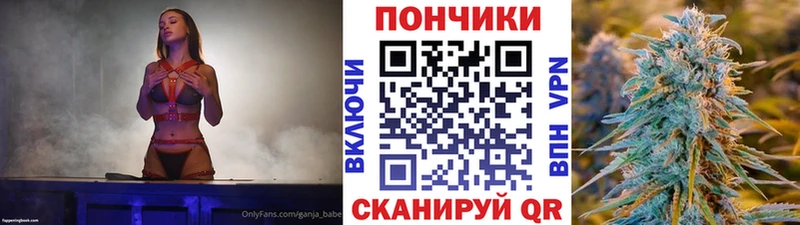 Бошки марихуана марихуана  Нестеров 